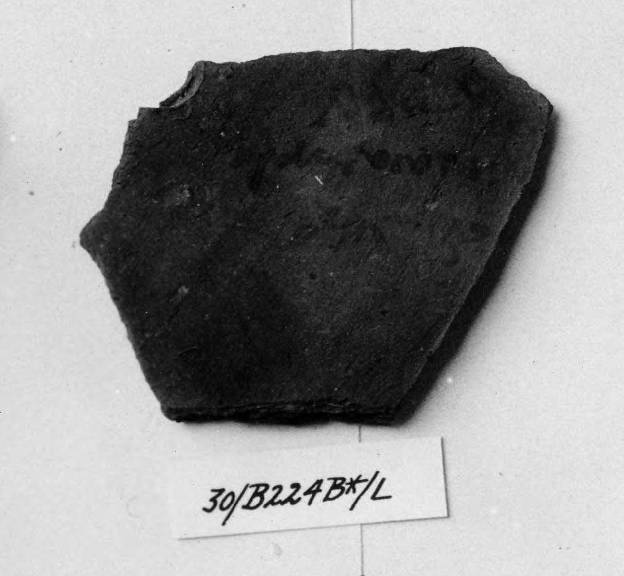 Ostracon Overlay Detail
