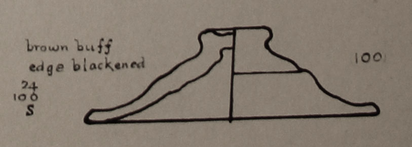 Type 100 thumbnail