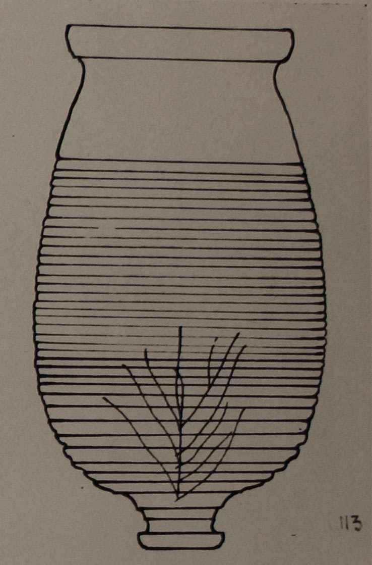 Type 113 thumbnail