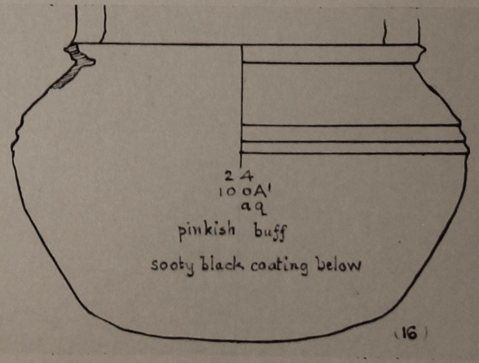 Type 16 thumbnail