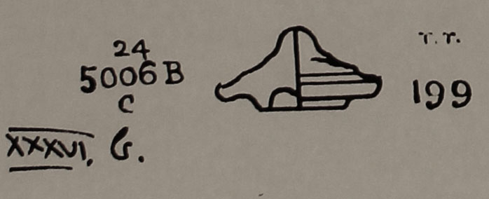 Type 199 thumbnail