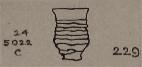 Type 229 thumbnail