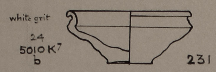 Type 231 thumbnail