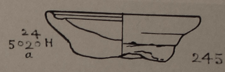 Type 245 thumbnail