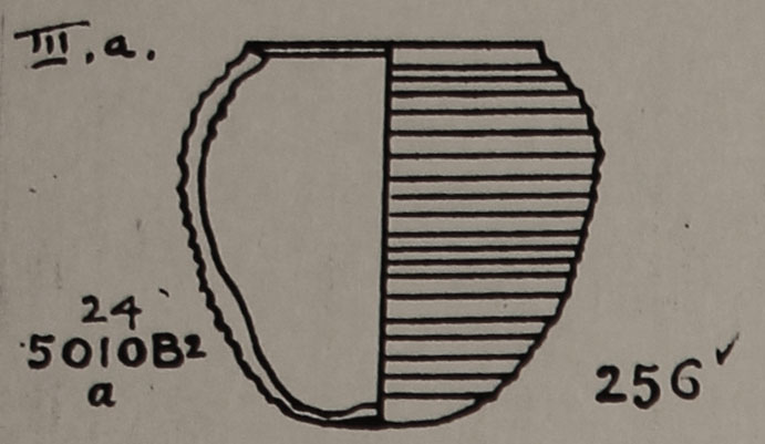 Type 256 thumbnail