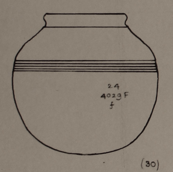 Type 30 thumbnail