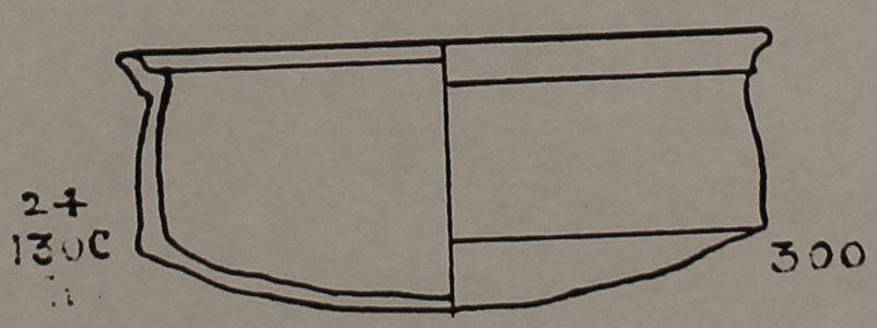 Type 300 thumbnail