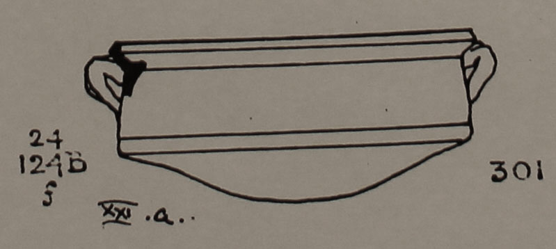 Type 301 thumbnail