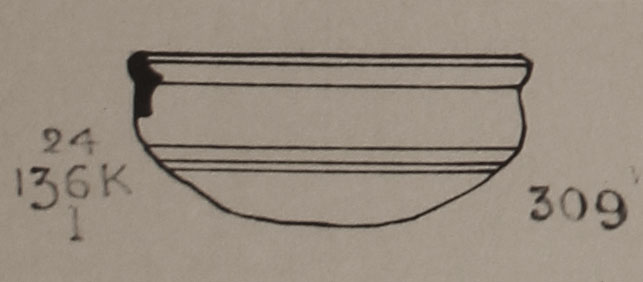 Type 309 thumbnail