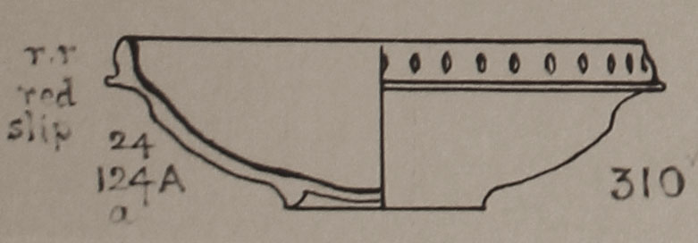 Type 310 thumbnail