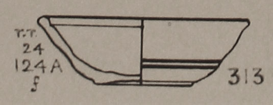 Type 313 thumbnail