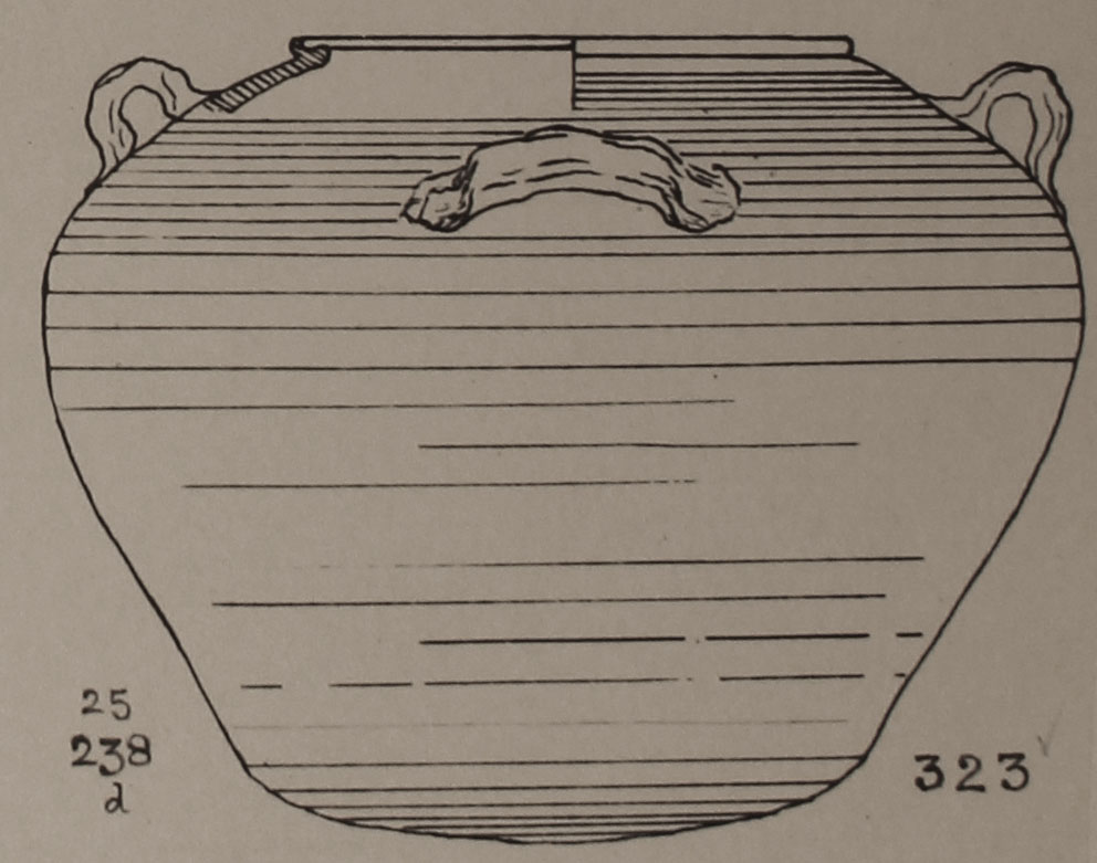 Type 323 thumbnail