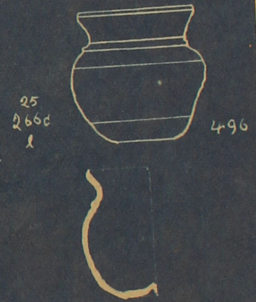 Type 496 thumbnail