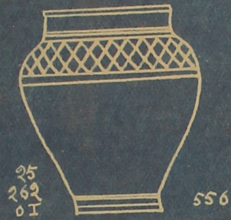 Type 556 thumbnail